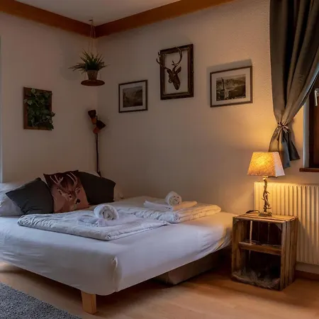 Apartment, Haus Lederer * ツェル アム ゼー