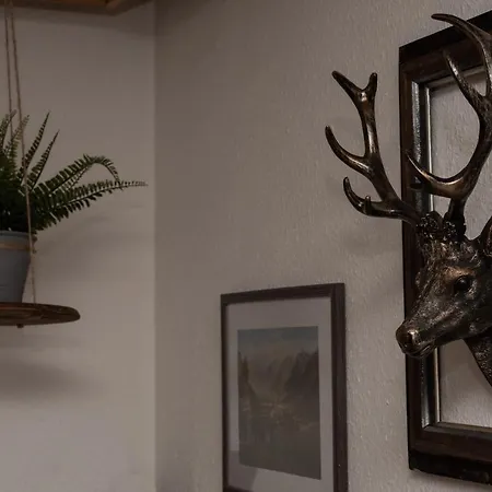 Apartment, Haus Lederer *