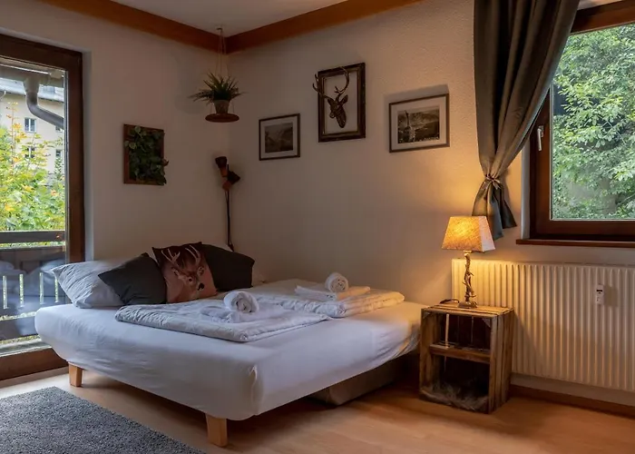 Apartment, Haus Lederer * Zell am See