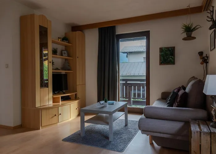 Apartment, Haus Lederer Apartament Zell am See